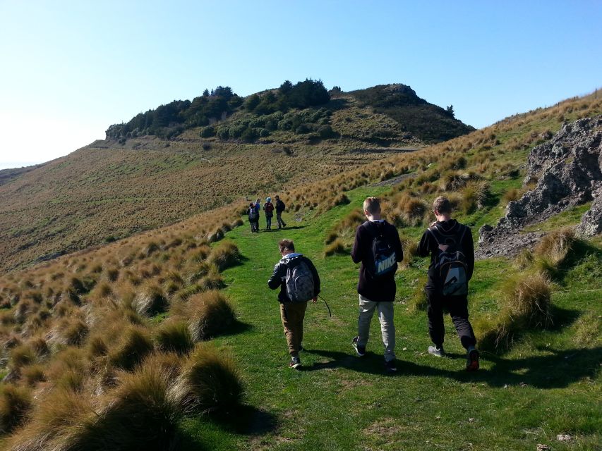 Christchurch: Packhorse Hut Guided Walk and Scenic Drive - Accessibility Notes