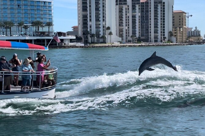Clearwater Encounters With Dolphins Tour - Recap