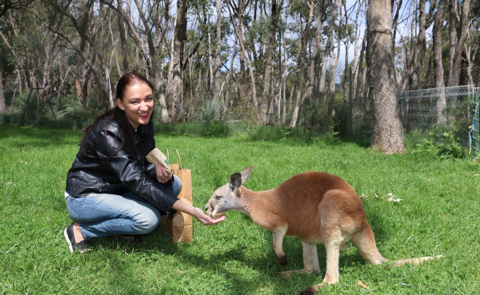 Cleland Wildlife Park Experience With Mount Lofty Summit - Directions