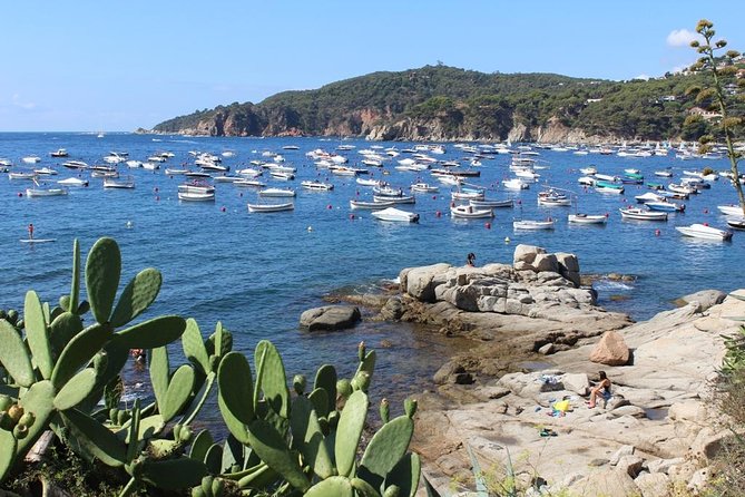 Costa Brava Full Day Trip From Barcelona With Boat Trip - Medes Islands Marine Reserve