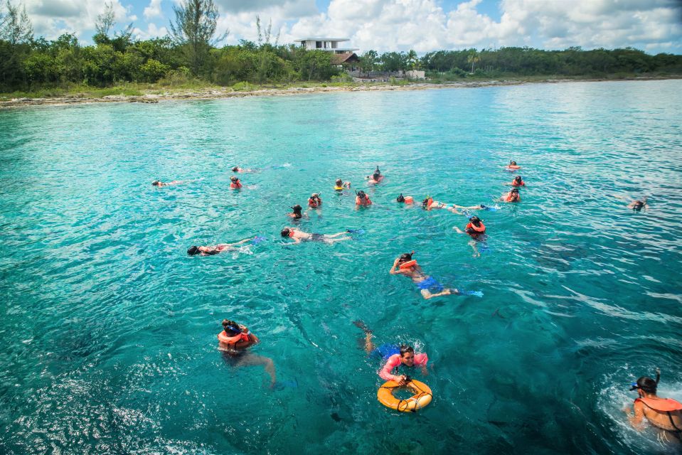 Cozumel: Snorkeling Trip to 3 Reefs by Boat - Feedback From Participants