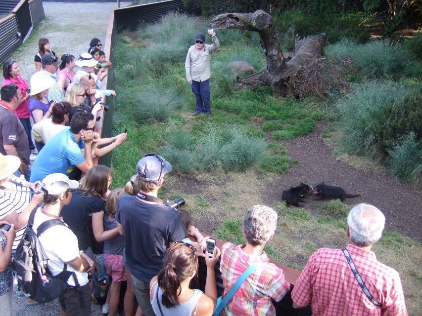 Cradle Mountain: After Dark Tasmanian Devil Feeding Tour - Frequently Asked Questions