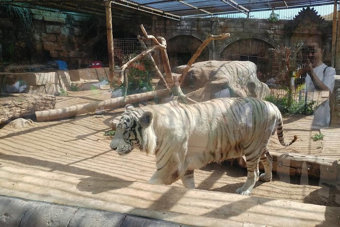 Crocodile Park Zoo Admission Ticket in Agüimes - Location and Hours