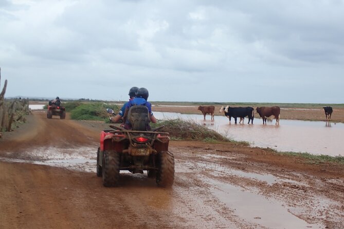 Curacao Half Day ATV East Adventure Tour - Refunds and Cruise Ship Passengers