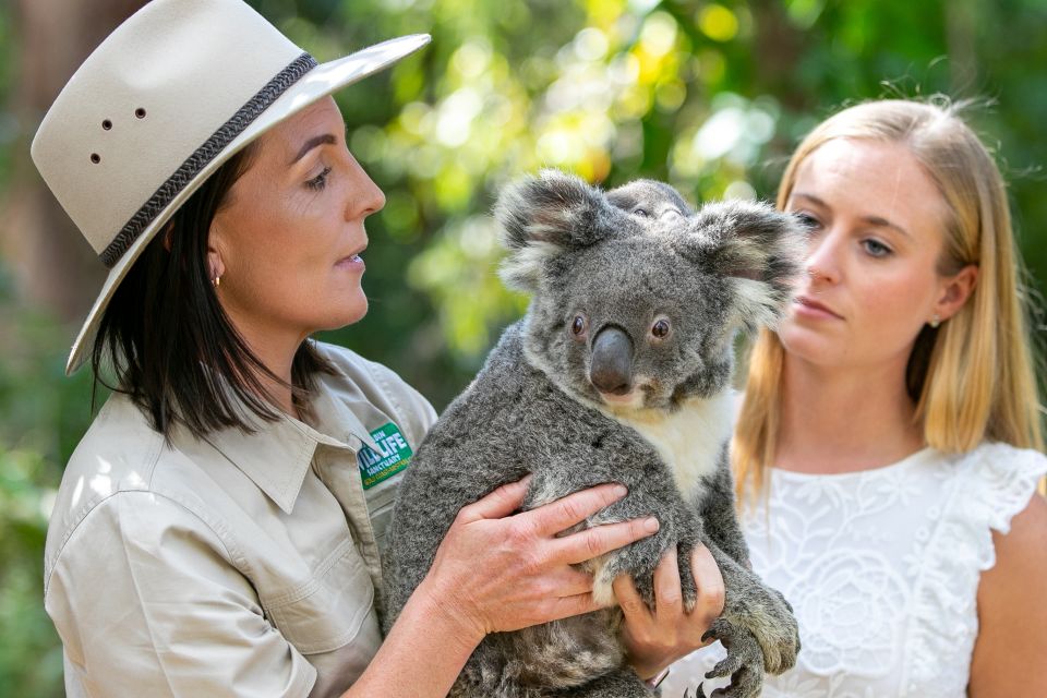 Currumbin Wildlife Sanctuary Ticket & Koala Photo - Filter Options for Reviews