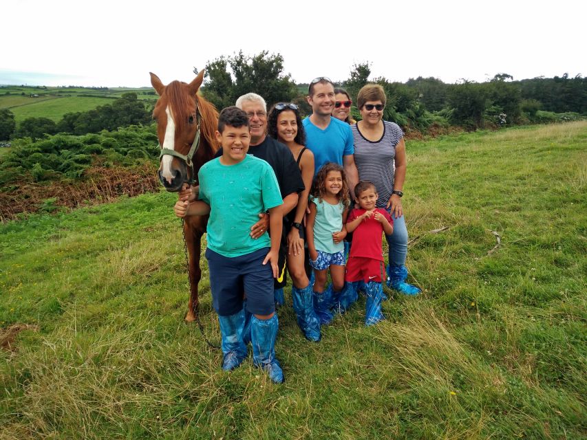 Dairy Farm Visit and Cow Milking Experience in Azores - Dustins Review