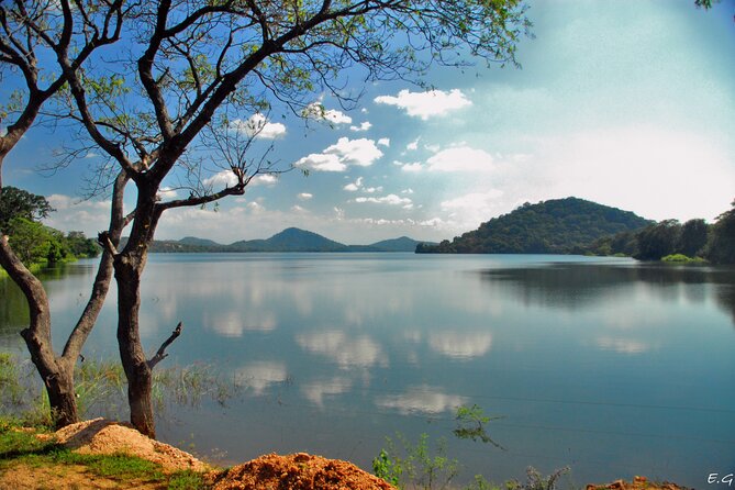 Day Tour to Minneriya National Park,Sigiriya & Dambulla From Kandy - Exploring Dambulla Cave Temples