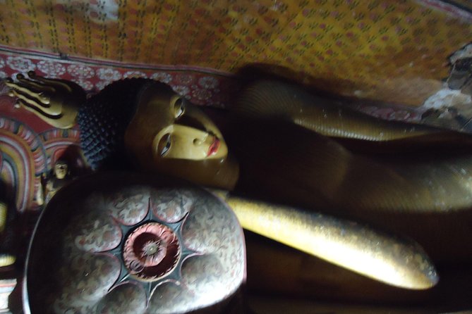 Day Tour to Sigiriya & Dambulla From Kandy by Aaliya Tours - About the Driver-Guide