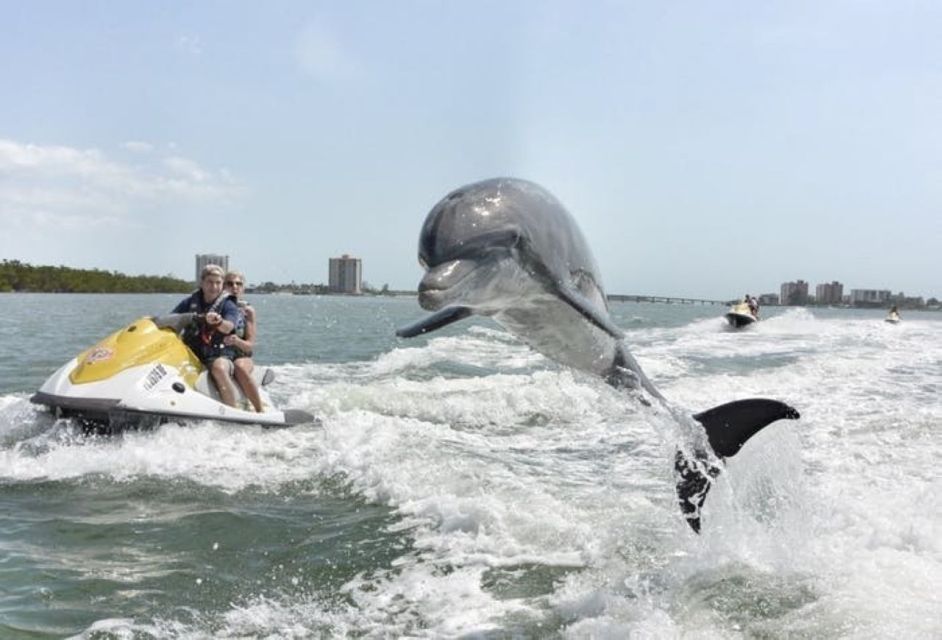 Destin: Crab Island Dolphin Watching Jet Ski Tour - Customer Reviews