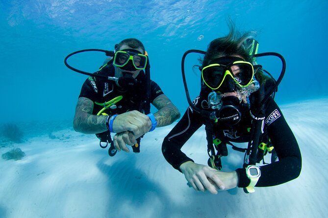 Discover Scuba Dive - Booking Information