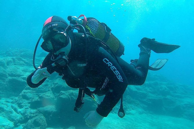 Discover Scuba Diving in Gran Canaria With Hotel Pick-Up - Opportunity to See Angel Sharks