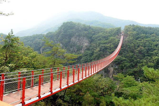 DMZ Tour: 3rd Tunnel, Option(Suspension Bridge, Boat) From Seoul - Important Considerations