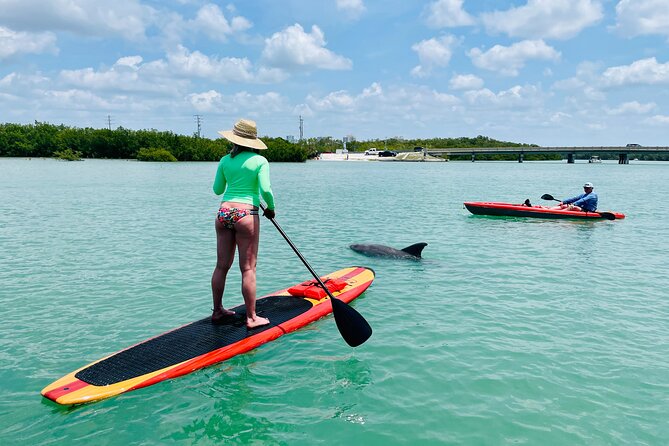 Dolphin and Manatee Adventure Tour of Fort Myers - Reviews and Visitor Feedback