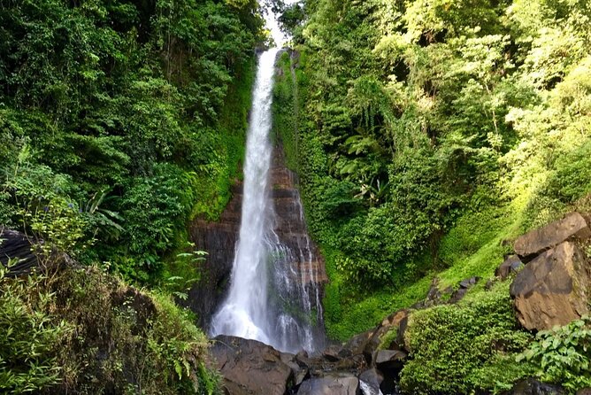 Dolphin Tour and Sunrise Watching in Lovina Beach - All Inclusive - Optional Waterfall and Temple Visits