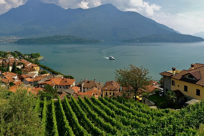 Domaso: Wine Tasting at the Winery on Lake Como - Meeting Point and Pickup Information