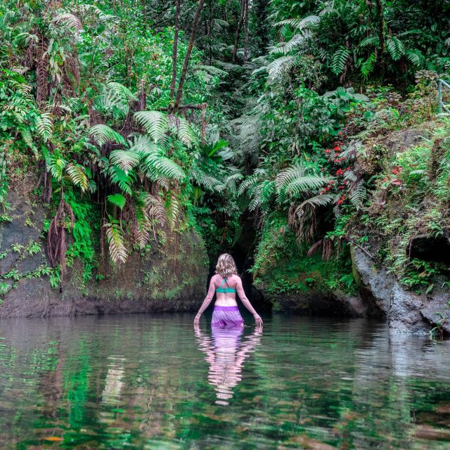 Dominica Hiking Adventures - Exploring Morne Trois Piton National Park