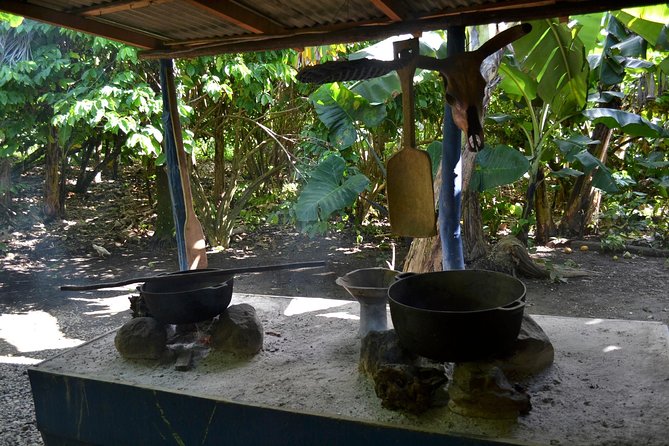 Dominican Republic Countryside Safari Tour From Punta Cana - Hotel Pickup and Drop-off