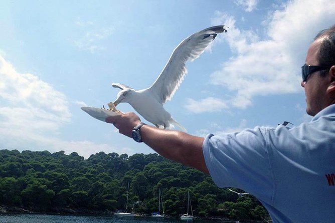 Dubrovnik Elafiti Islands Cruise With Lunch, Drinks and Pickup - Additional Details