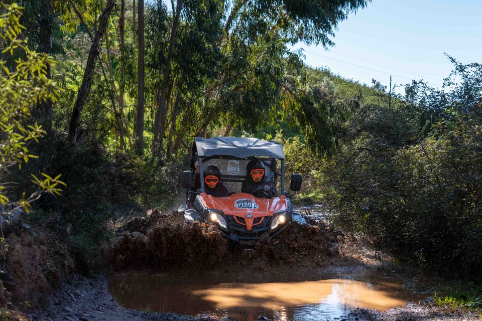 Durt & Dust Paradaise Tour - Buggy Tour 90 Min - Pass by Castle of Silves