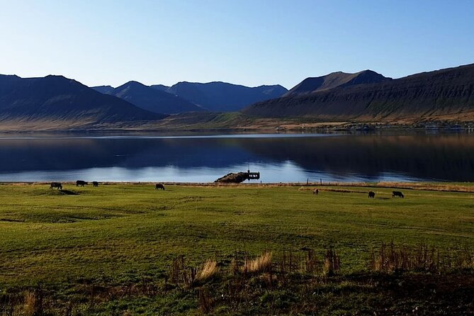 Dynjandi Waterfall & Iceland Farm Visit Tour - Highlights of the Waterfall and Farm