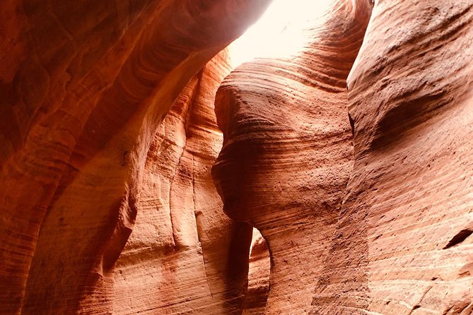East Zion 4 Hour Slot Canyon Canyoneering UTV Tour - Tour Experience and Safety Requirements