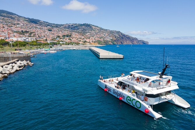 Eco-Friendly Catamaran Dolphin and Whale Watching - Cancellation and Refund Policies