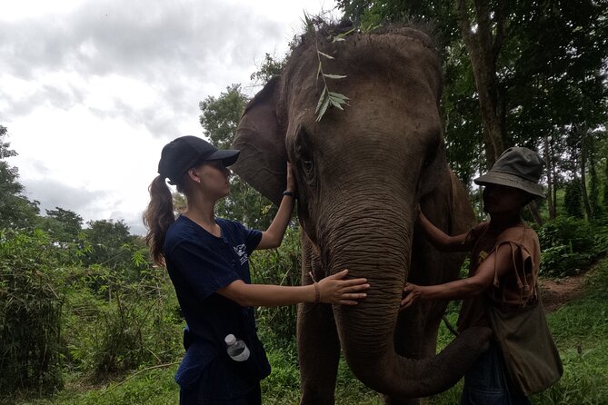 Elephant Care Program at Chiangmai Elephant Care - Tour Duration and Itinerary