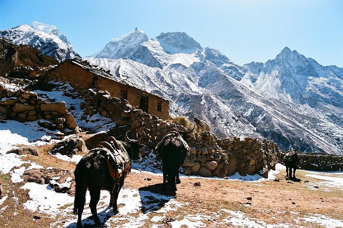 Everest Base Camp - Travel Tips