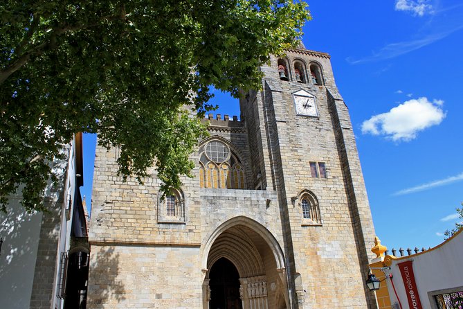 Évora & Arraiolos Small-Group Full Day Tour - Guided Visit and Olive Oil Tasting