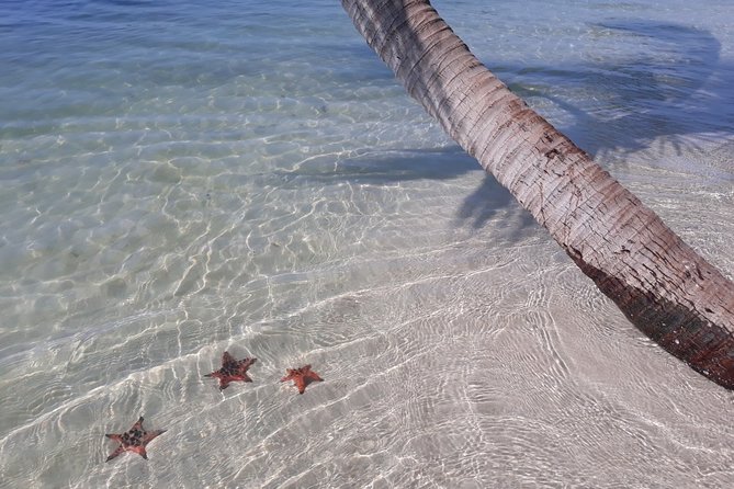 Explore the North of Phu Quoc Island by Classical US Army Jeeps - Off-the-Beaten-Path Experiences