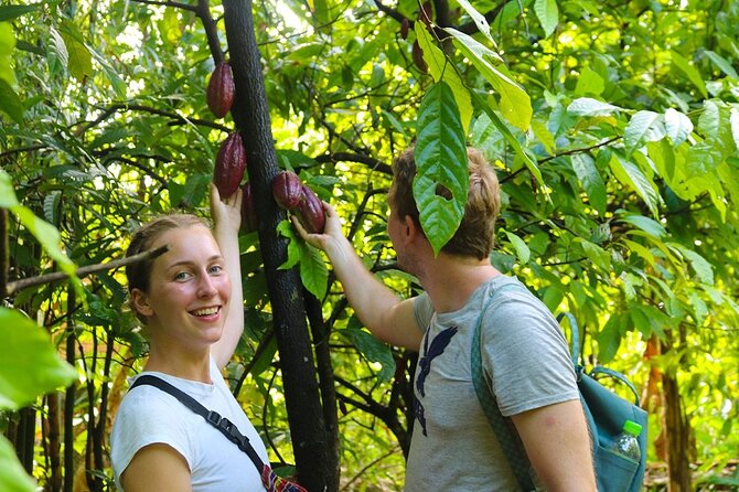 Exploring Cai Rang Floating Market, Cacao&The Hidden Small Canal - Cacao Farm and Chocolate Tasting