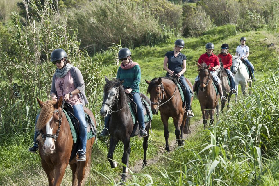 Faial Island: Horseback Riding on Lusitano Trail - Location and Village of Cedros