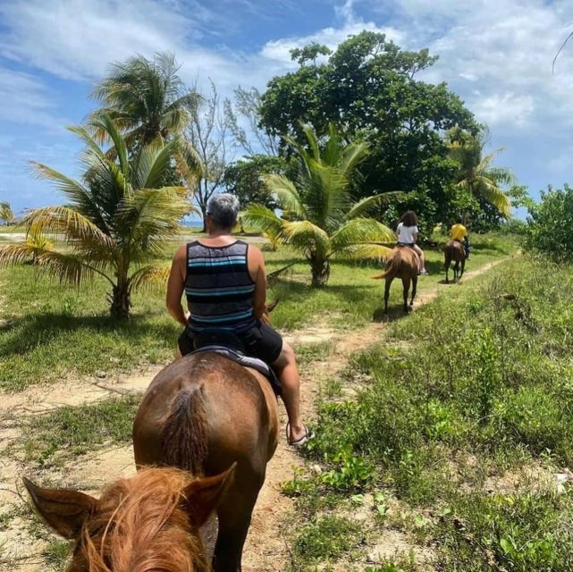 Falmouth/Montego Bay: River Tubing & Beach Ride on Horseback - Included Tour Features