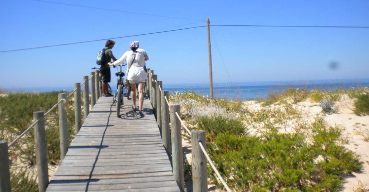 Faro Bike Tour Through the Beautiful Ria Formosa - Relaxing on the Beach