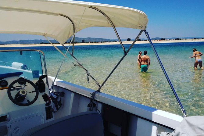 Faro - Ria Formosa Tour With Visit to 2 Islands (Deserta, Farol) 3.5 Hours - Tour Highlights Summary