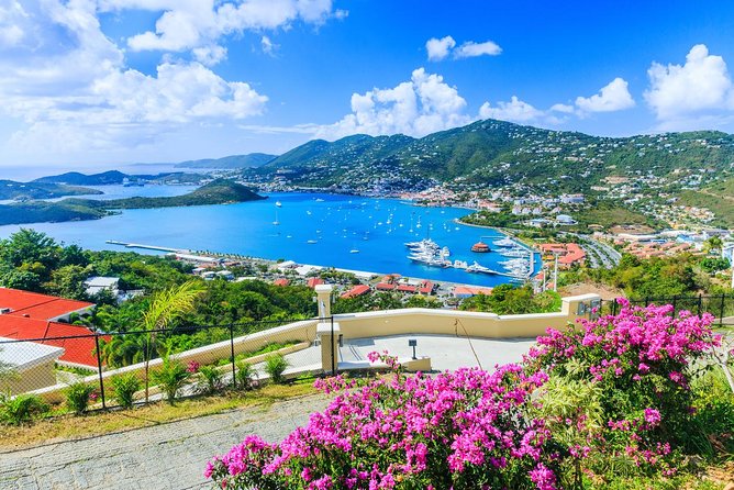 Flavors of St Thomas Walking Food Tour - Culinary Highlights