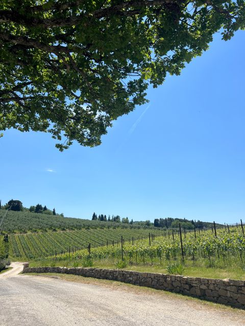 Florence: 2 Chianti Cellar Tours, Lunch & Transfer - Additional Details