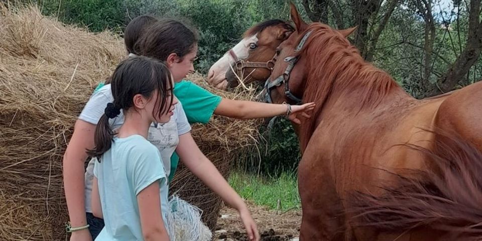 Florence - Sightseeing Tour on Horseback - Reserving Your Horse