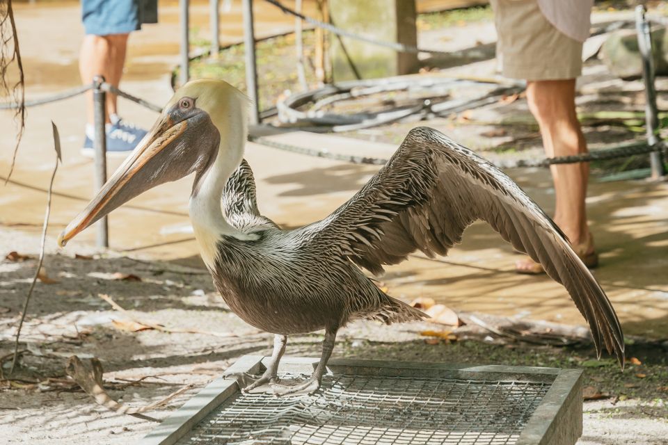 Fort Lauderdale: Flamingo Gardens Entry Ticket - Getting to Flamingo Gardens