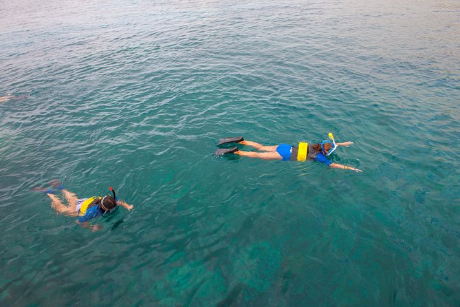 Four Winds II Molokini Snorkeling Tour From Maalaea Harbor - Additional Services and Recommendations