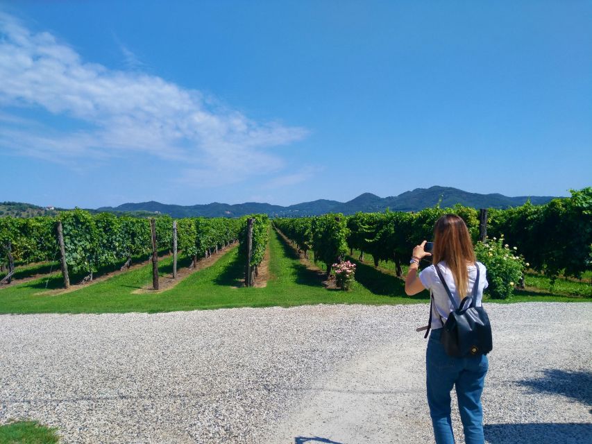 From Abano Montegrotto: Euganean Hills Guided Wine Tour - Tour Inclusions