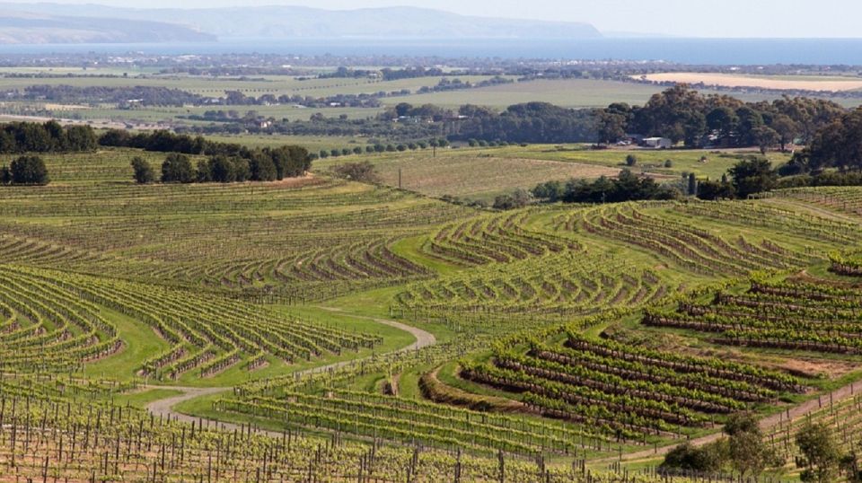 From Adelaide: McLaren Vale Winery Tour via Hahndorf - Frequently Asked Questions