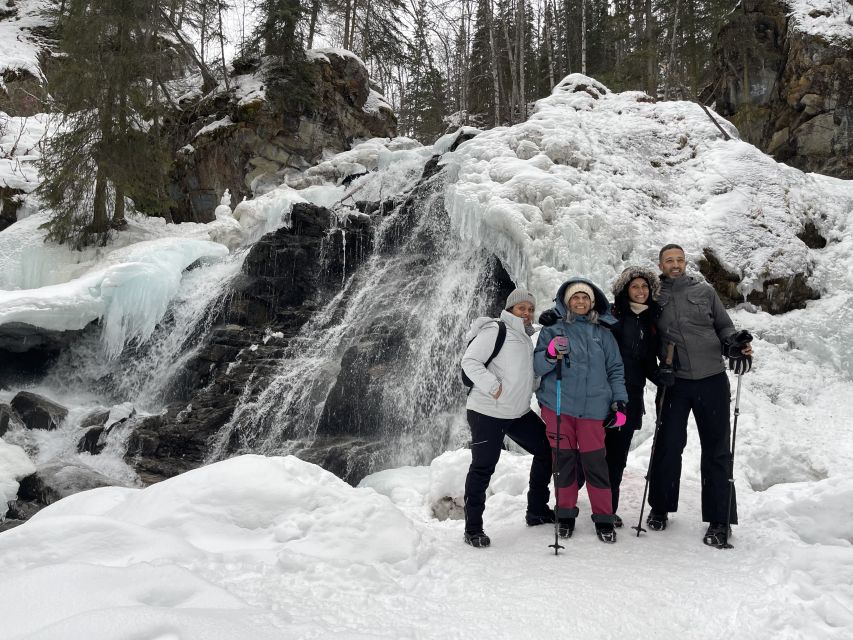 From Anchorage: Chugach State Park Winter Walking Tour - Recap