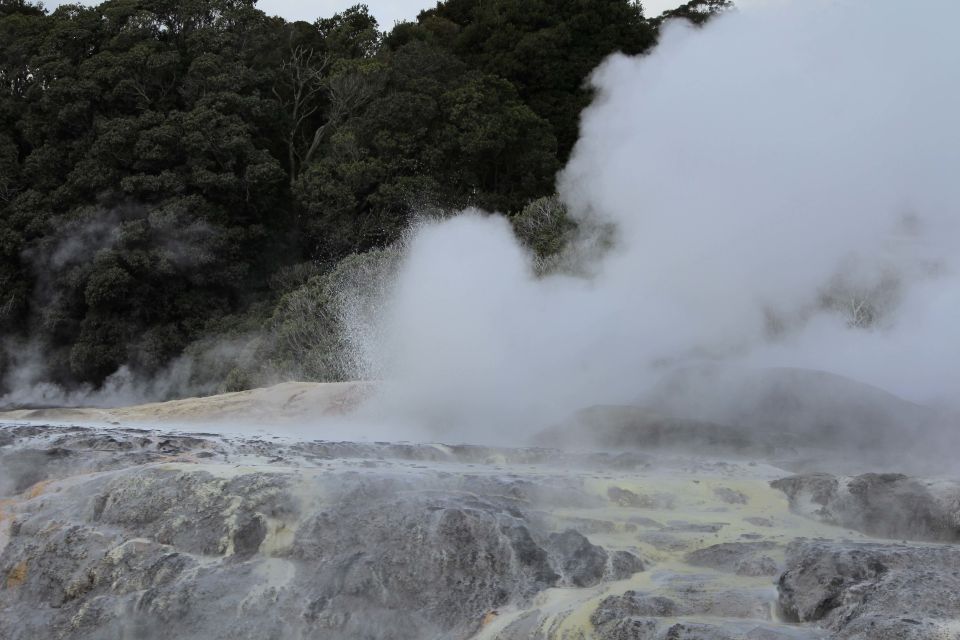 From Auckland: Hobbiton & Rotorua Tour With Lunch at Te Puia - Customer Reviews and Ratings