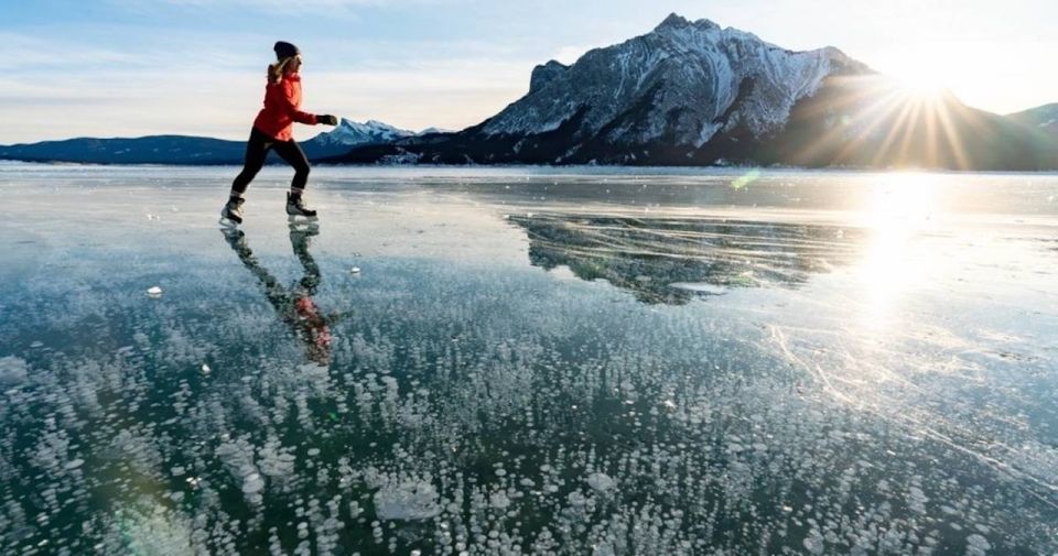 From Banff: Icefields Parkway & Abraham Lake Ice Bubbles - Essential Information for Participants