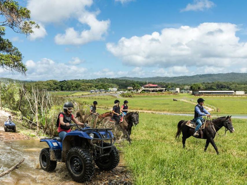 From Cairns: Kuranda Day Trip With Petting Zoo and Quad Ride - Important Information