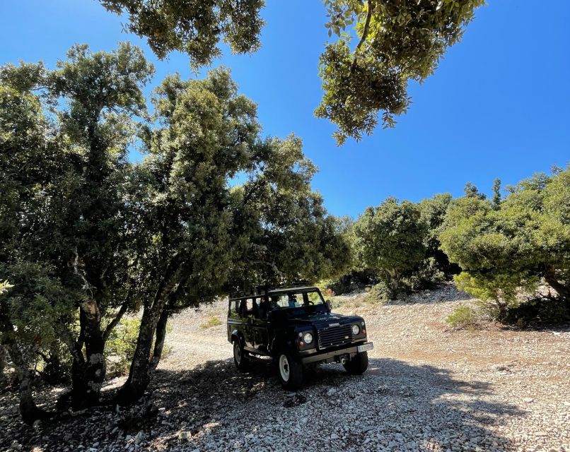 From Cala Gonone: Food, Wine, and Craft Tours in Dorgali - Off-Road Transfers From Cala Gonone