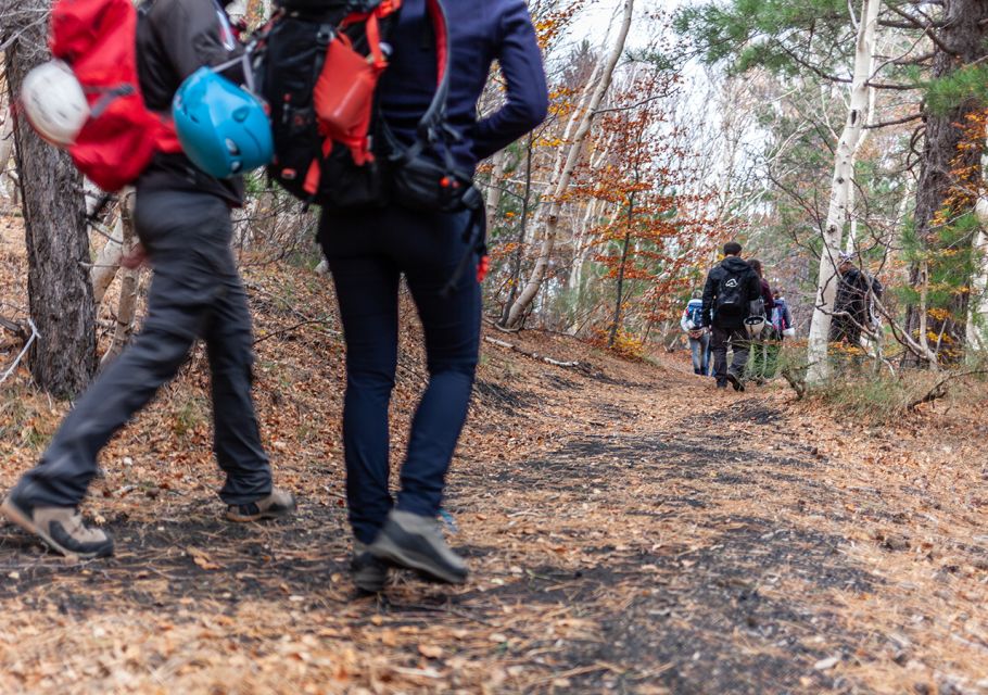 From Catania: Private Mount Etna Trek - Van Transfers