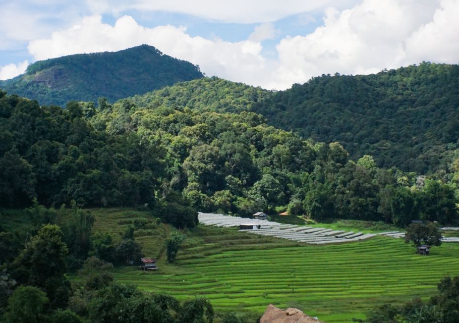 From Chiang Mai: Doi Inthanon National Park Day Trip & Hike - Karen Hill Tribe Village