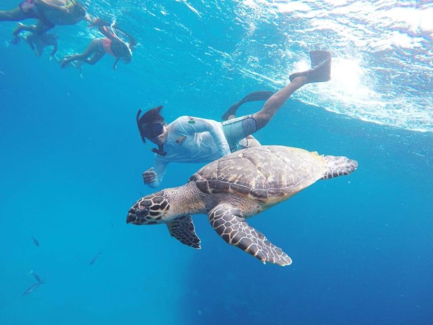 From Cozumel: 3 Reefs Boat Tour With Drinks and Snorkeling - Important Information